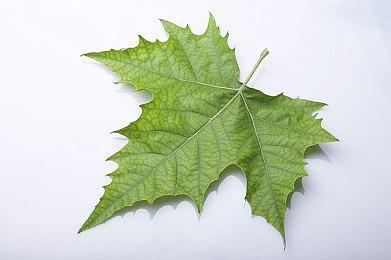 针对于部分用户使用3DM加速器蓝屏情况的解决方案